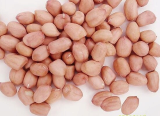 China Homegrown Fresh Peanuts with Non_pollution Non Aflatoxin Content for Sale